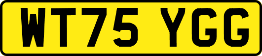 WT75YGG