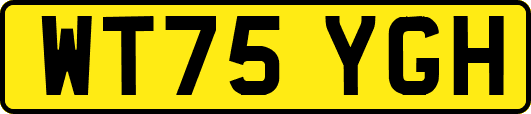 WT75YGH