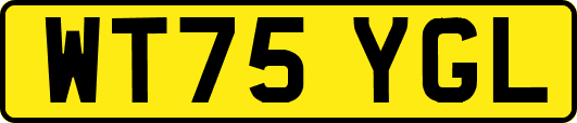 WT75YGL