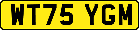 WT75YGM