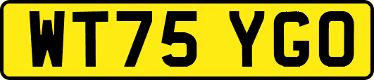 WT75YGO