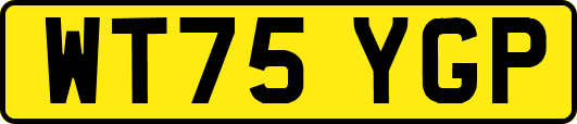 WT75YGP