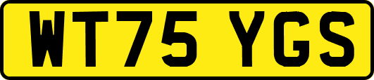 WT75YGS