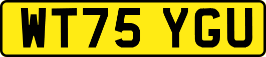 WT75YGU