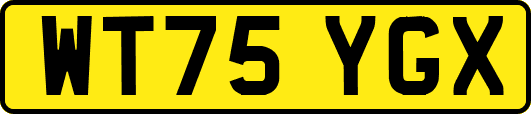 WT75YGX