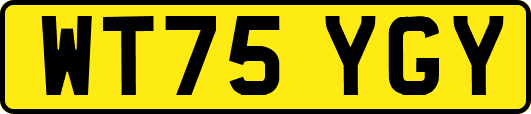 WT75YGY