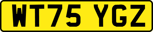 WT75YGZ