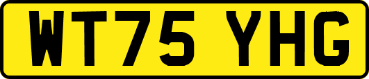 WT75YHG