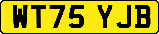 WT75YJB