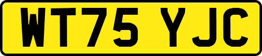 WT75YJC