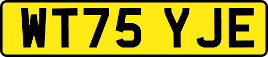 WT75YJE