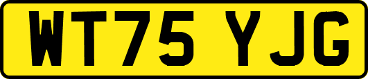 WT75YJG