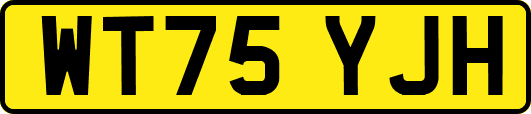 WT75YJH