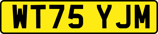 WT75YJM