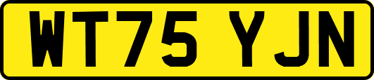 WT75YJN