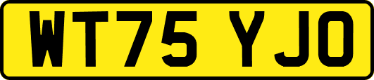 WT75YJO