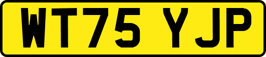 WT75YJP