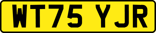 WT75YJR
