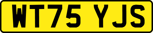 WT75YJS