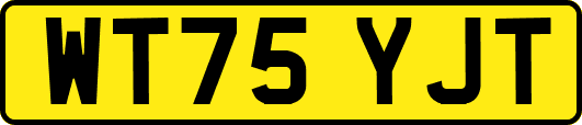 WT75YJT