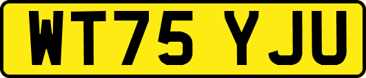 WT75YJU