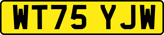 WT75YJW