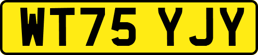 WT75YJY