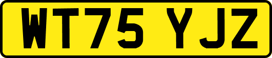 WT75YJZ