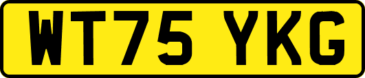 WT75YKG