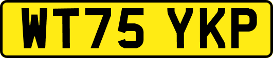 WT75YKP