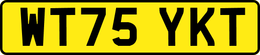 WT75YKT