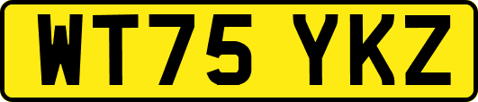 WT75YKZ