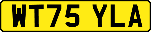 WT75YLA