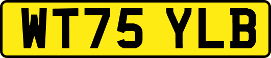 WT75YLB