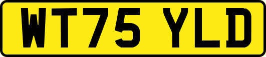 WT75YLD