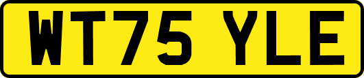 WT75YLE