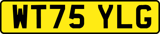 WT75YLG
