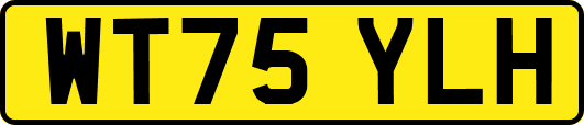 WT75YLH