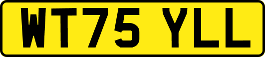 WT75YLL