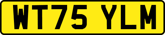 WT75YLM