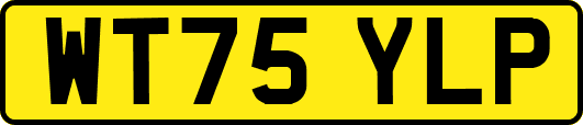 WT75YLP