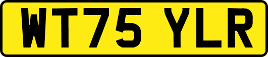 WT75YLR