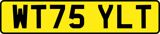 WT75YLT