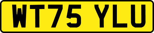 WT75YLU