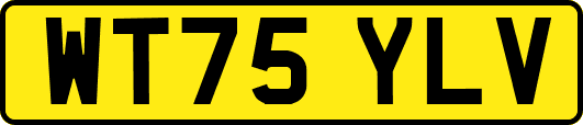 WT75YLV