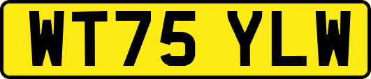 WT75YLW