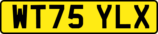 WT75YLX