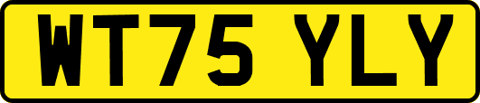 WT75YLY