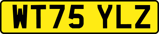 WT75YLZ