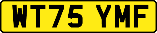 WT75YMF